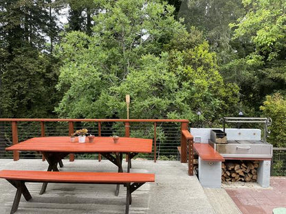 Tagwood BBQ | Santa Maria Argentine Wood Fire & Charcoal Grill Built in | BBQ05SS-- PRE-ORDER | estimated shipping starting as of December 2022